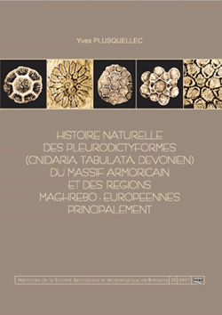 Couv these-Plusquellec