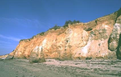 Penestin 1