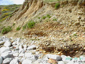 crozon 1