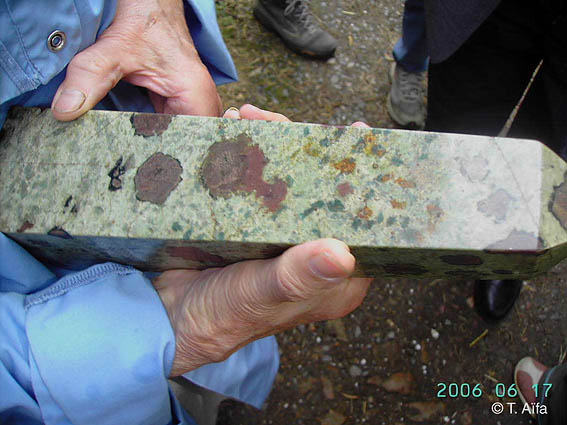 eclogite 1