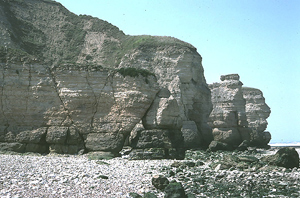 normand 2