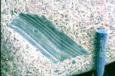ploum 1