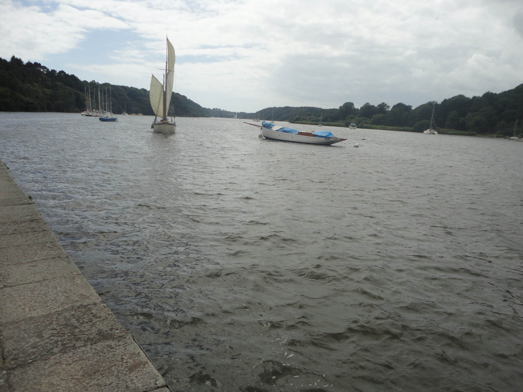 DSC08236
