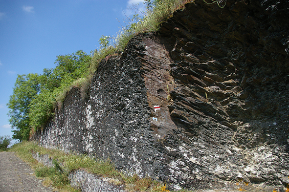 Fig.17 Levee5
